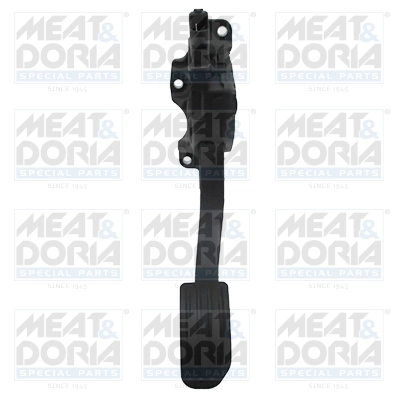 Accelerator Pedal Unit